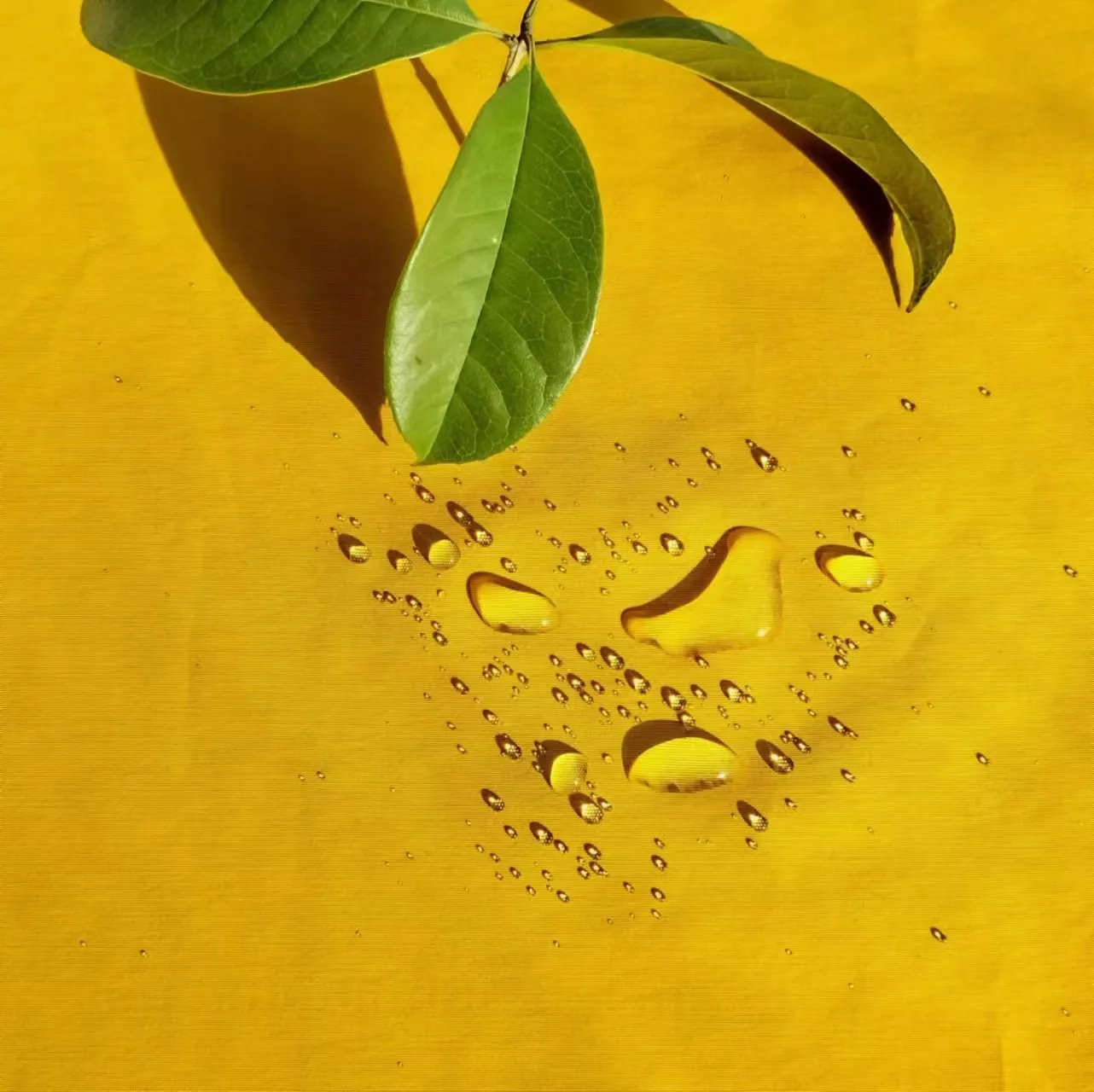 Китайская фабрика, цена, нейлон, хлопок, ламинированная белая пленка 8000 мм, дышащая ткань 3000 мм для уличных курток