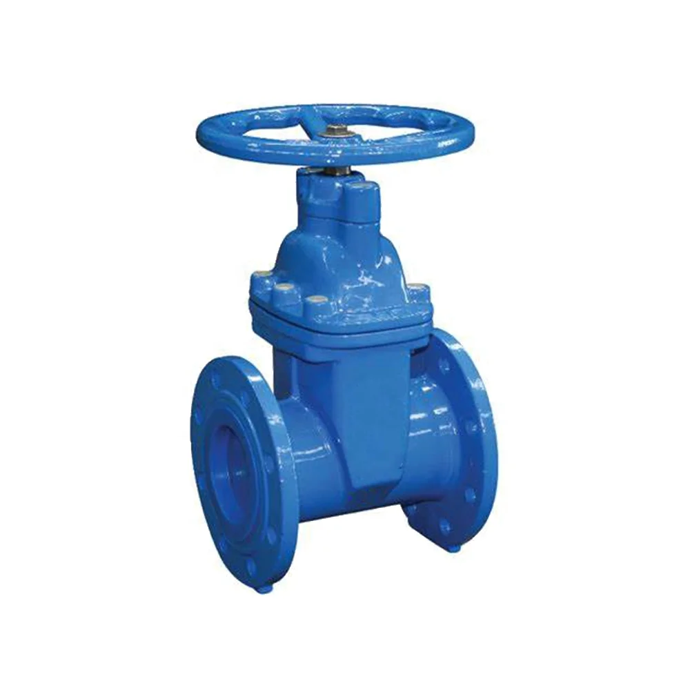 Bs5163/en 1171 pn25 поднимающийся стержень, упругий сидячий клапан