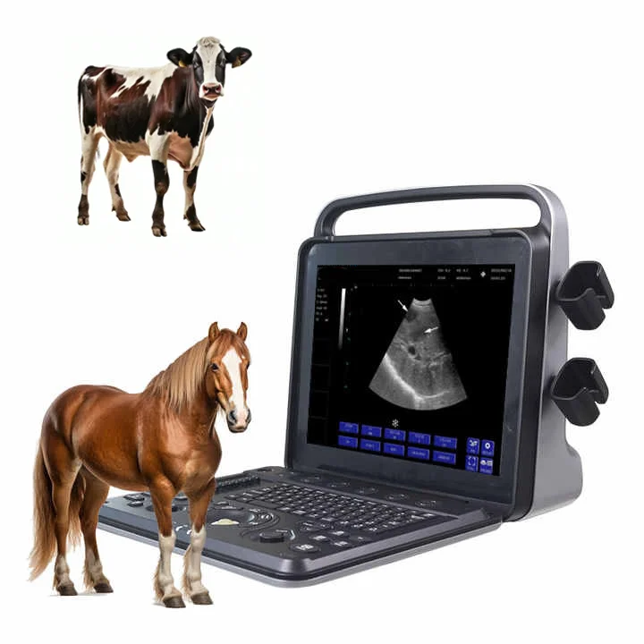 Veterinary Machine Vet Ultrasound Handheld Ultrasound Used for Animal Pregnancy Scan