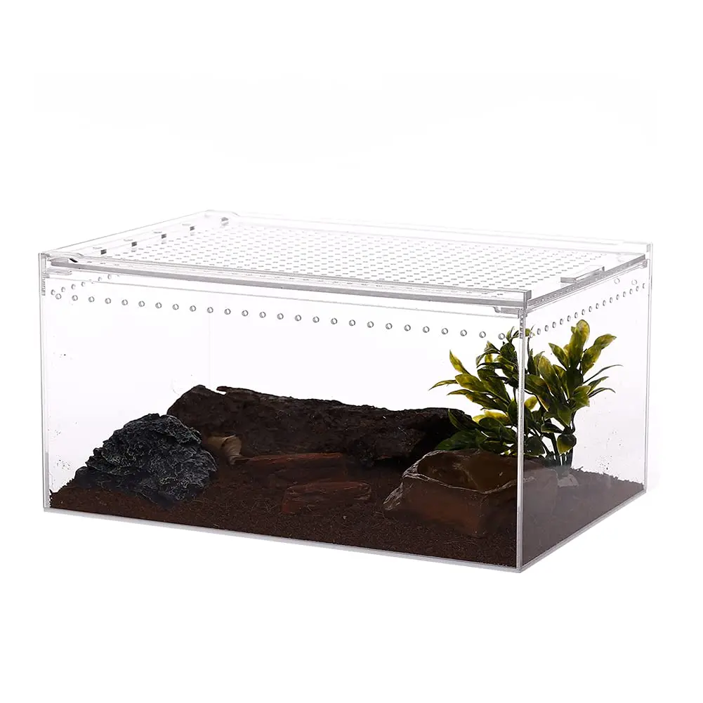Custom Clear Rectangular Acrylic Reptile Boxes Create a Comfortable Environment for Animals