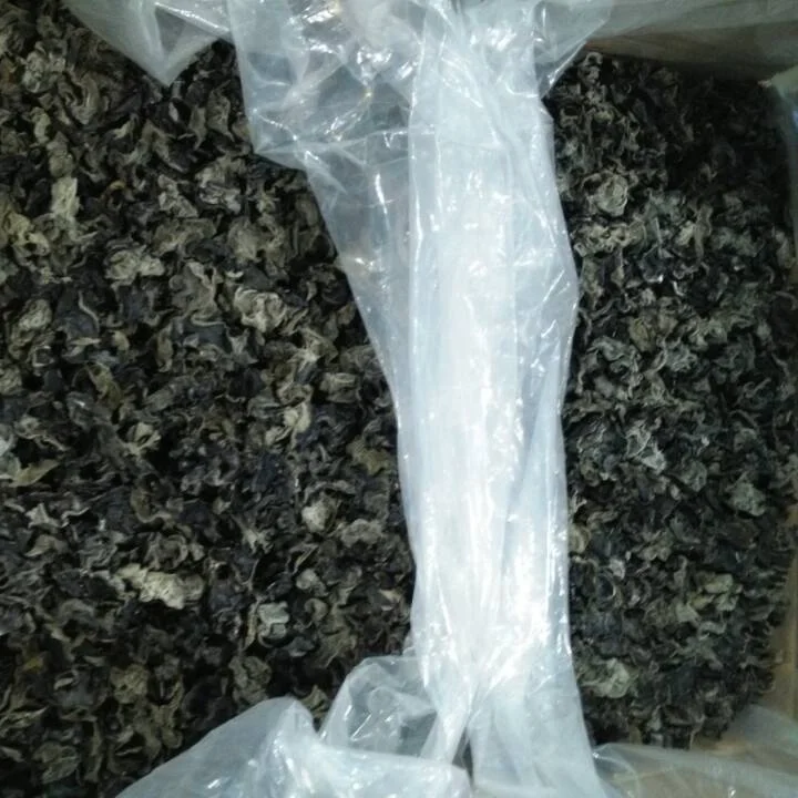 wholesale wood ear fungus