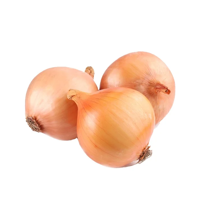 Fresh red/yellow onion factory supplying with wholesale price for exporting