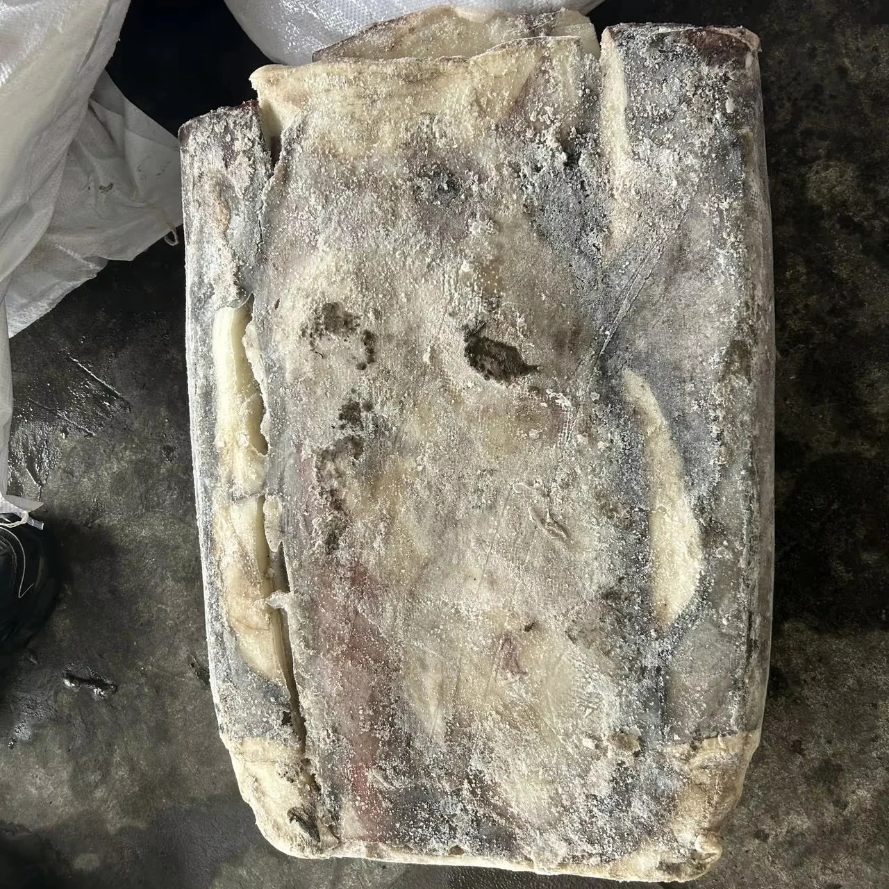 Giant Squid Fillet squid fillet Skin on Peru squid dosidicus gigas  fillet With skin
