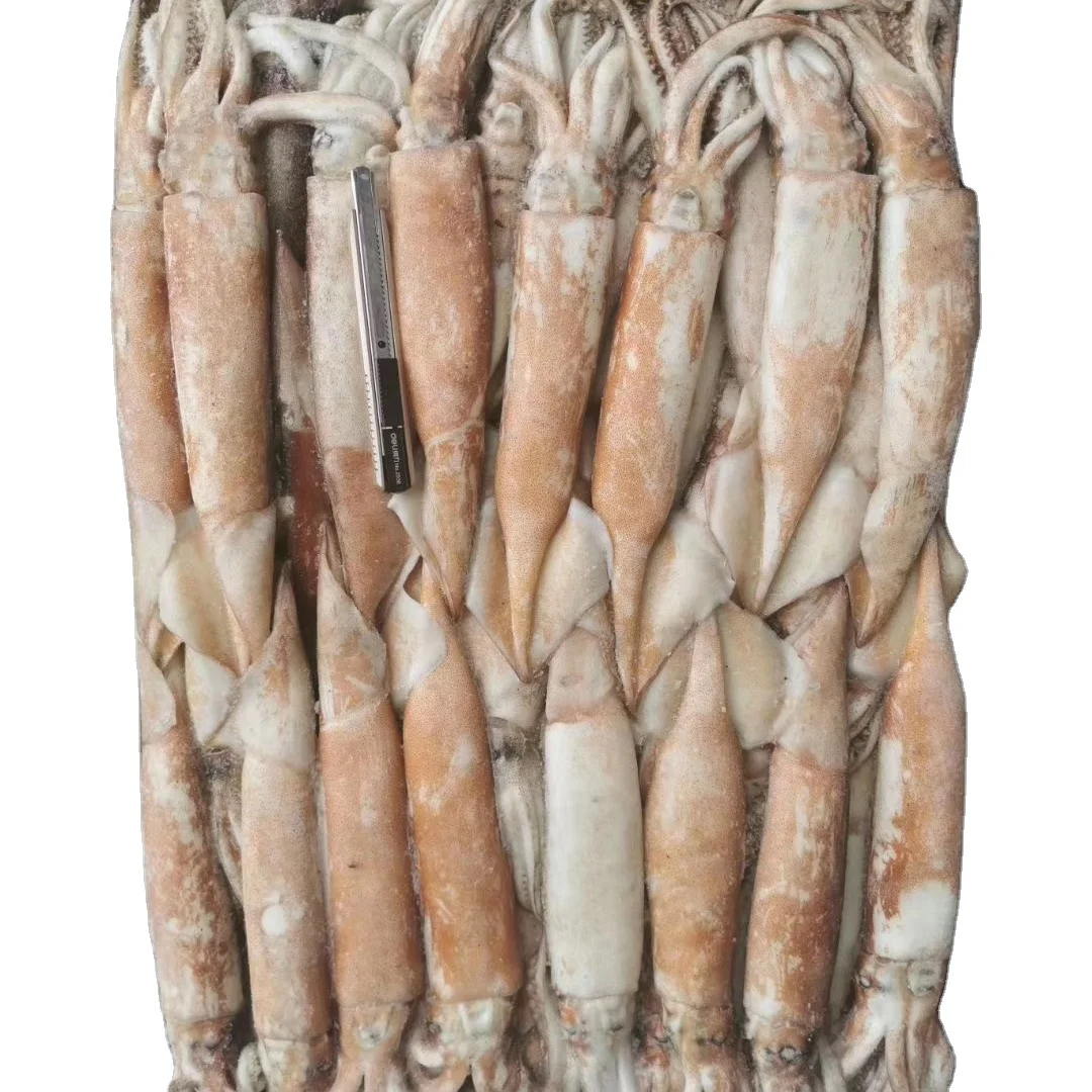 Japanese Flying Squid 20Kg Block Frozen Squid Raw Material