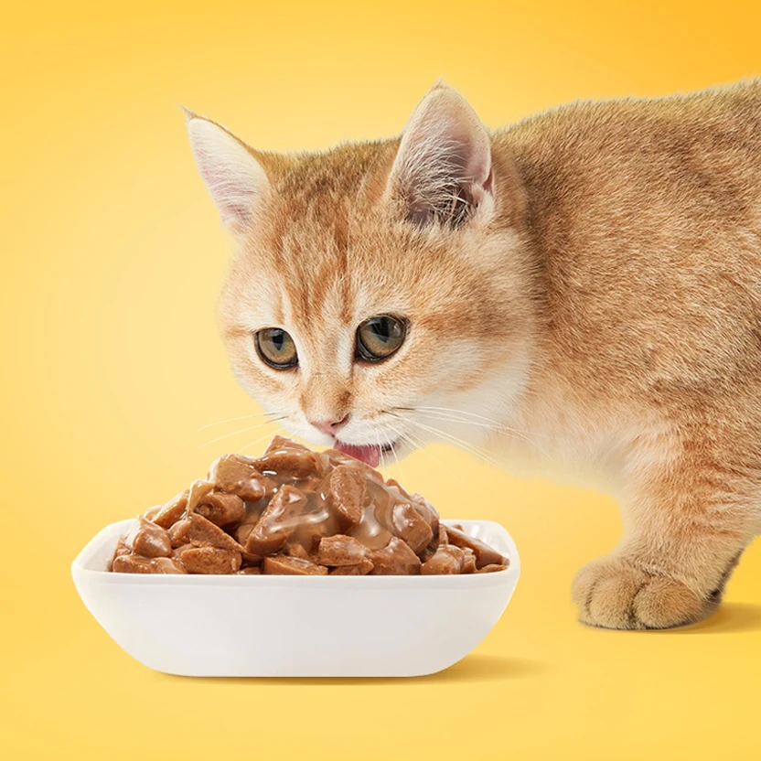 Halal Certified Pet Food Factory Low Price Lamb flavored Cat Treats Pet Snacks Wet Cat Food Pouches