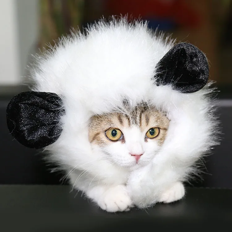 4 style available Costume pet hat hair funny cat dog lion mane costume pet wig
