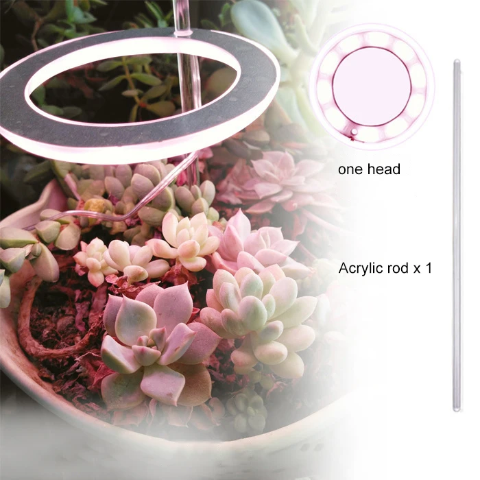 LED Full Spectrum Angel Three Rings Grow Light USB Phyto Growing Lamp For Indoor Succulent Plant