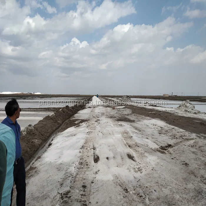 Best quality Industrial Salt suppliers from India