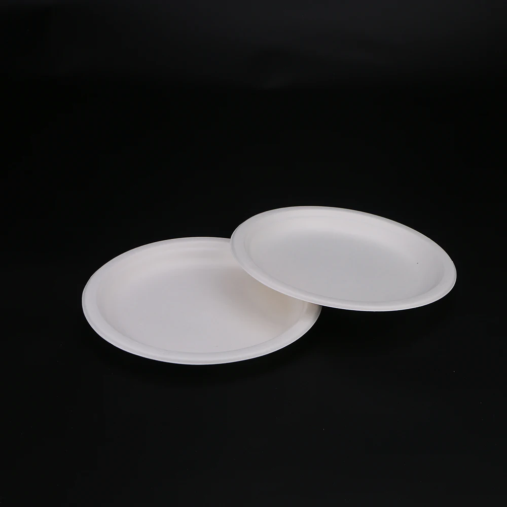 Biodegradable Disposable Sugarcane Bagasse oval