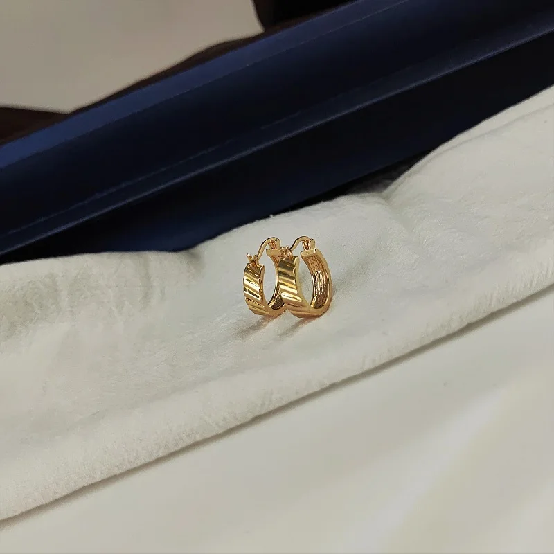 Exquisite gold plating earring women 925 sterling silver Jewelry  nickel lead free hypoallergenic hoops earrings