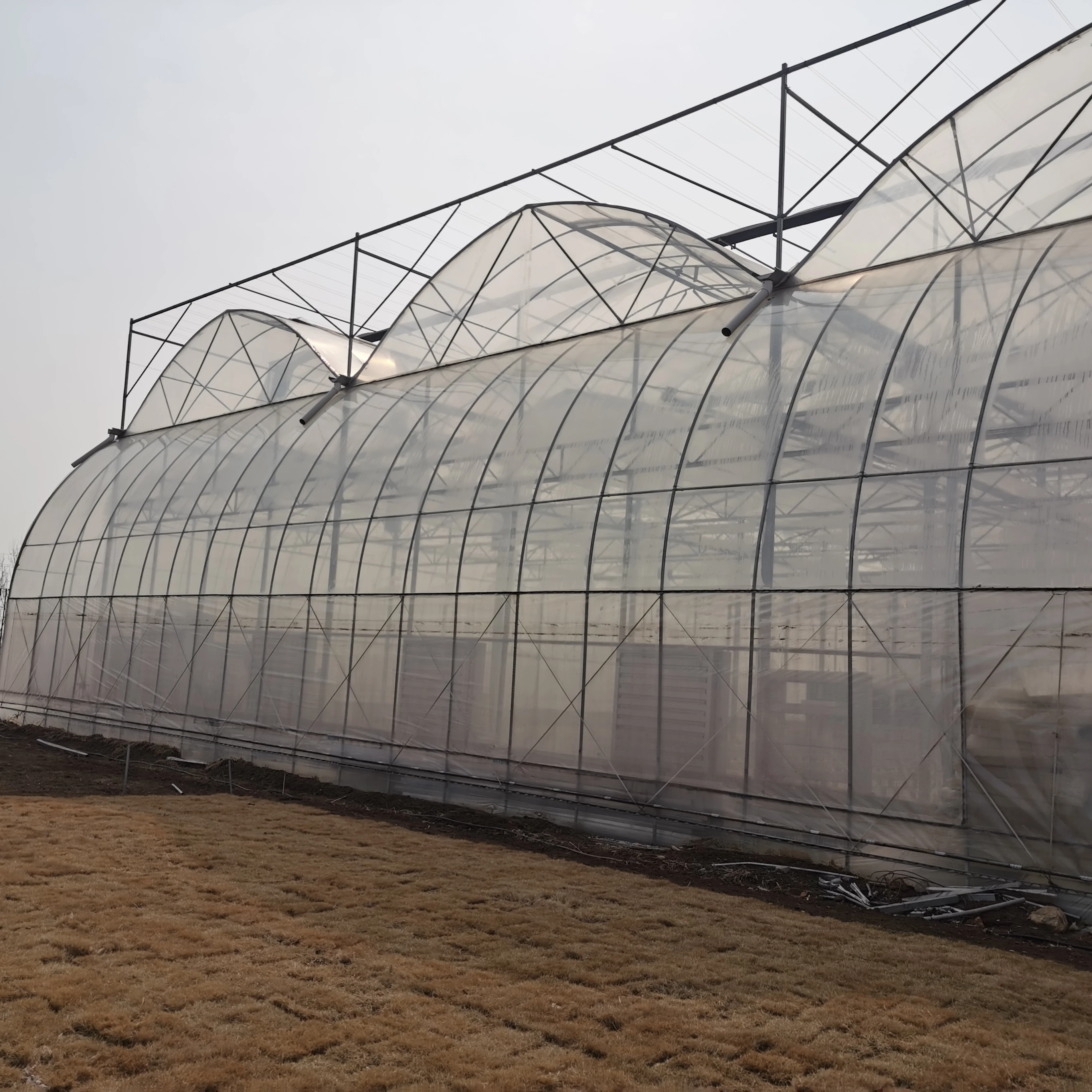 
High Tech Strawberry Vegetables Commercial PE Film Korean Greenhouse Suppliers 