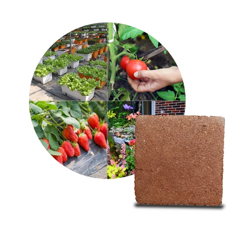 Organic Coconut Coir Bulk Compressed Coconut Coir Brick