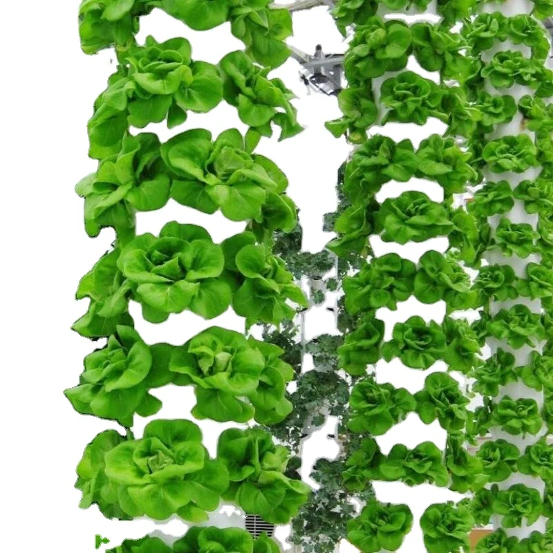 Vertical Farm Best Price Hydroponic vertical aquaponics system for fish and vegetable