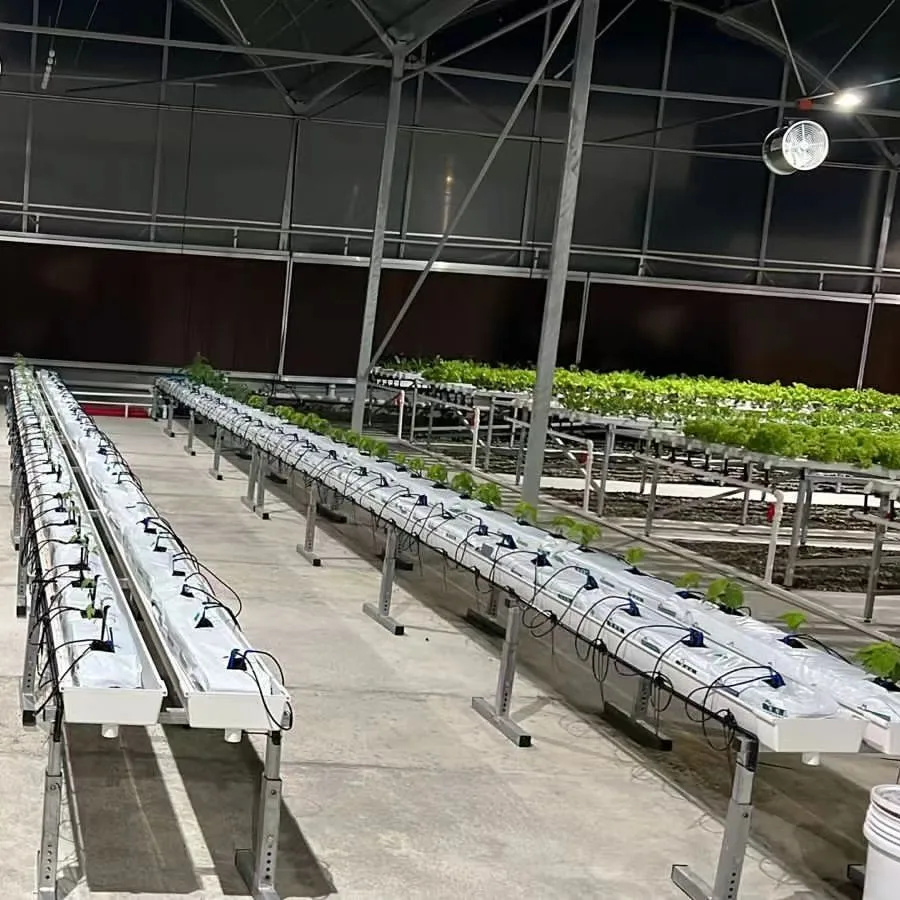 Standard Sizes Pvc Nft Gutter System Hydroponics Strawberry Gutter Greenhouse Hydroponic Planting Gutter For Growing Vegetables