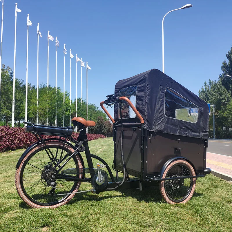 251 - 350W 7Speed 48V 13Ah E-Cargo Three Wheel Electric Bicycle Rickshaw Electric Bike 3 Wheels Tricycles