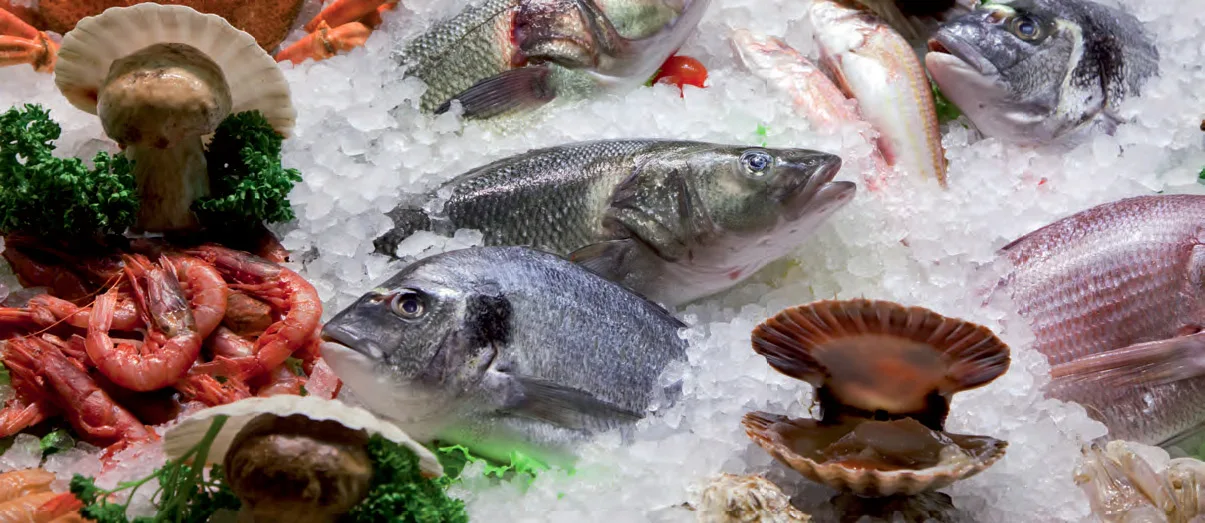 Supermarket flake ice making machine 2ton with ice bin to hold ice