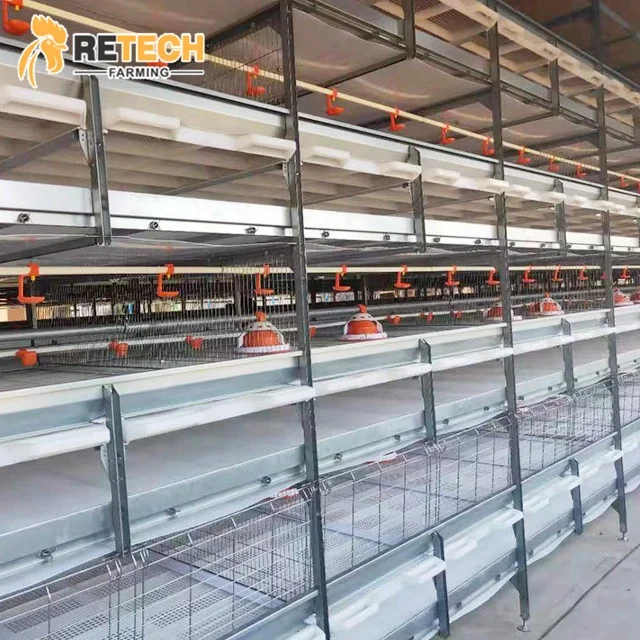Продажа системы клетки для куриных ферм на батарейках