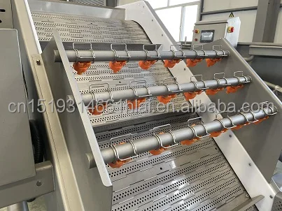 SDLEADING Automatic Seafood Fish Bubble Washing Machine Shrimp Cleaning Machine