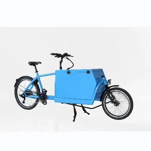 7 speeds electric cargo bike  2 wheels cargo bike family cargo bike