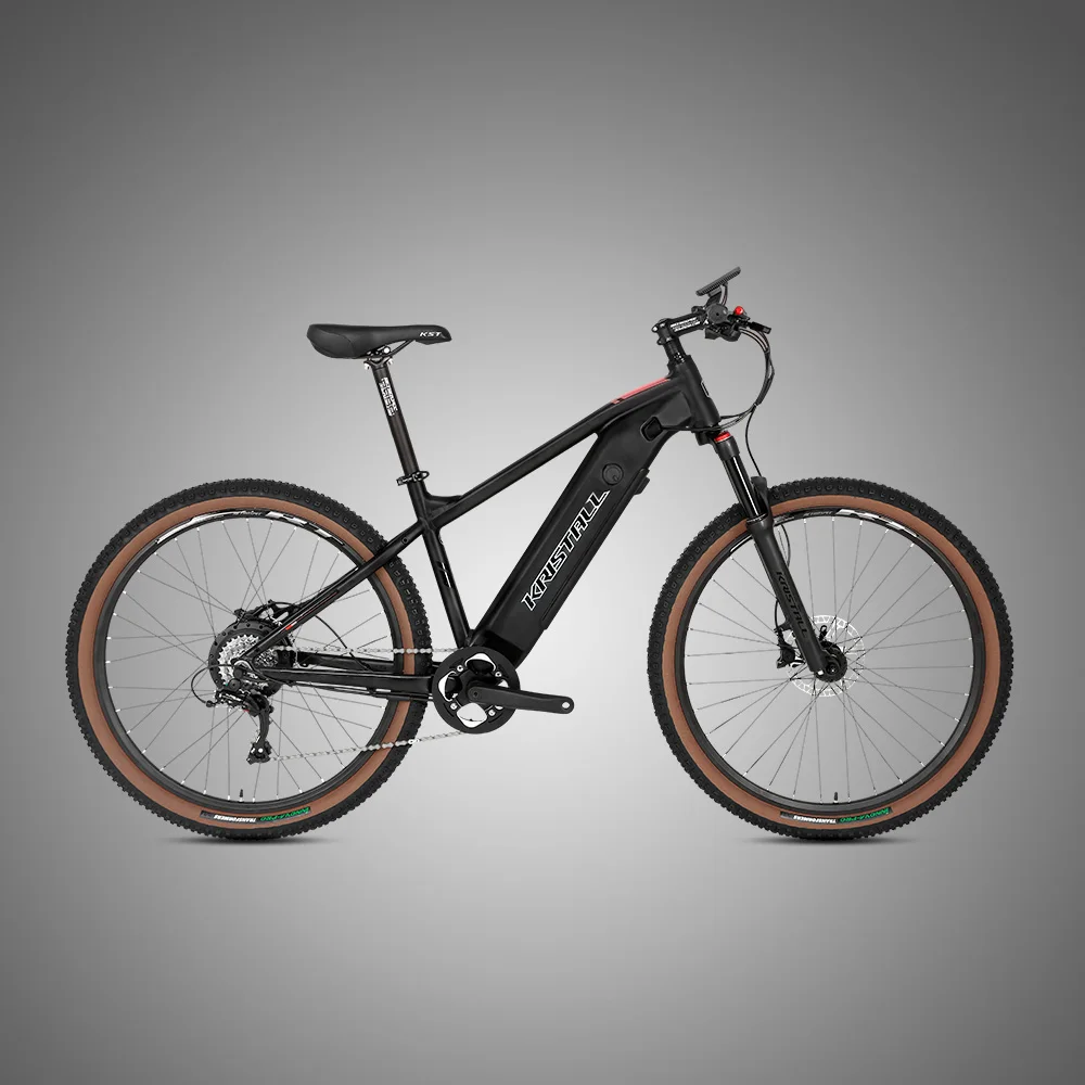 2022 new arrival electric bicycle E300 battery hidden ebike 48V 350W 500W 27.5 29er mountain electric bike