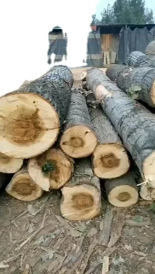 High quality wooden standard pencils 12PCS 2B HB pencil with eraser for sketching writing