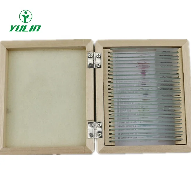 medical science Factory educational middle school students microscopes kits of prepared microscope slides on sale