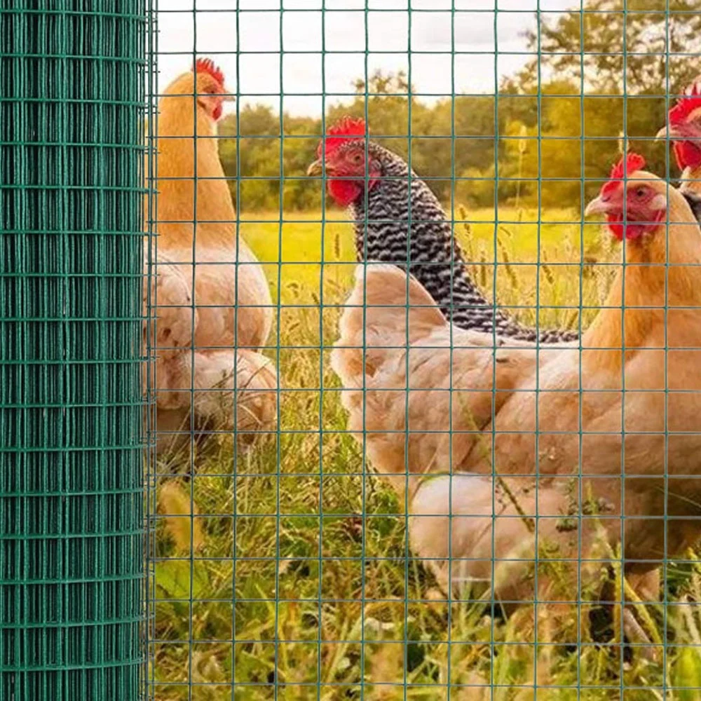 PVC Coated Welded Wire Mesh Fencing Green PVC Welded Wire Mesh