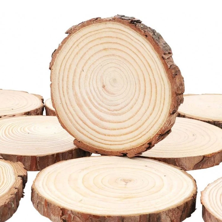 Home Decor Round Log Discs Log Slices with Holes Wood Rounds Christmas Wood Ornaments for Crafts