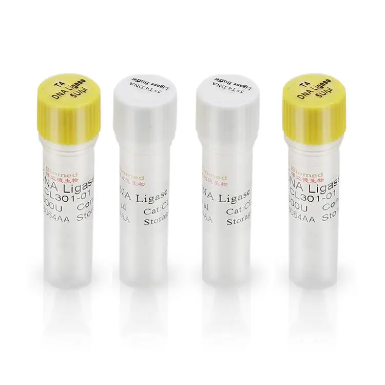 Профессиональный высокоэффективный реагент T4 ДНК лигаза