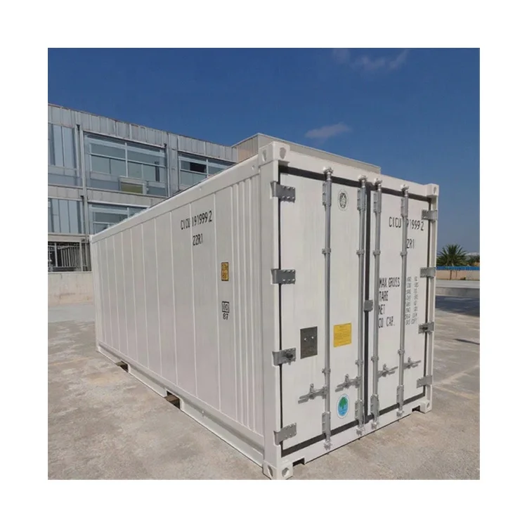 Greevel 20 Foot New Brand Refrigerated Shipping Container Reefer Container Thermo King Cooler Unit