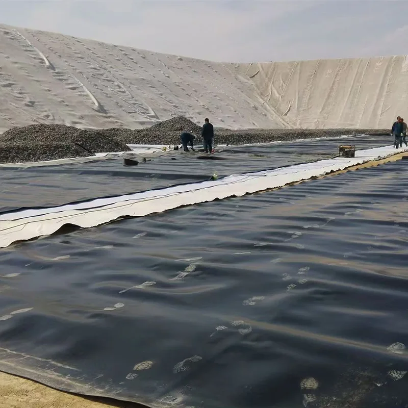 Оптовая Продажа с фабрики низкая цена 150 г геомембраны HDPE/PVC/LLDPE/EVA/LDPE для прудов и рыбных плотин экспорт беспошлинный