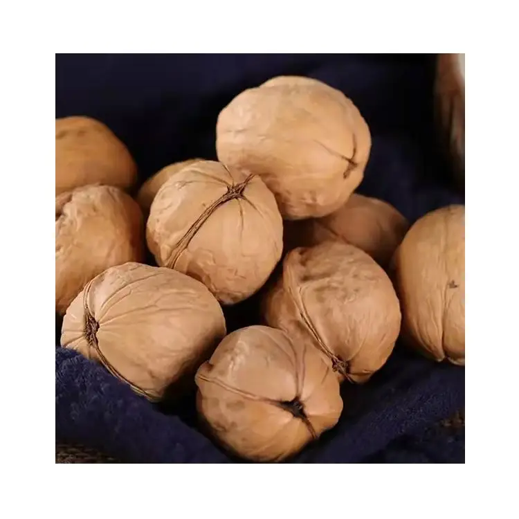 Supplier Wholesale Thin Skin Raw Organic In Shell Price China Walnut