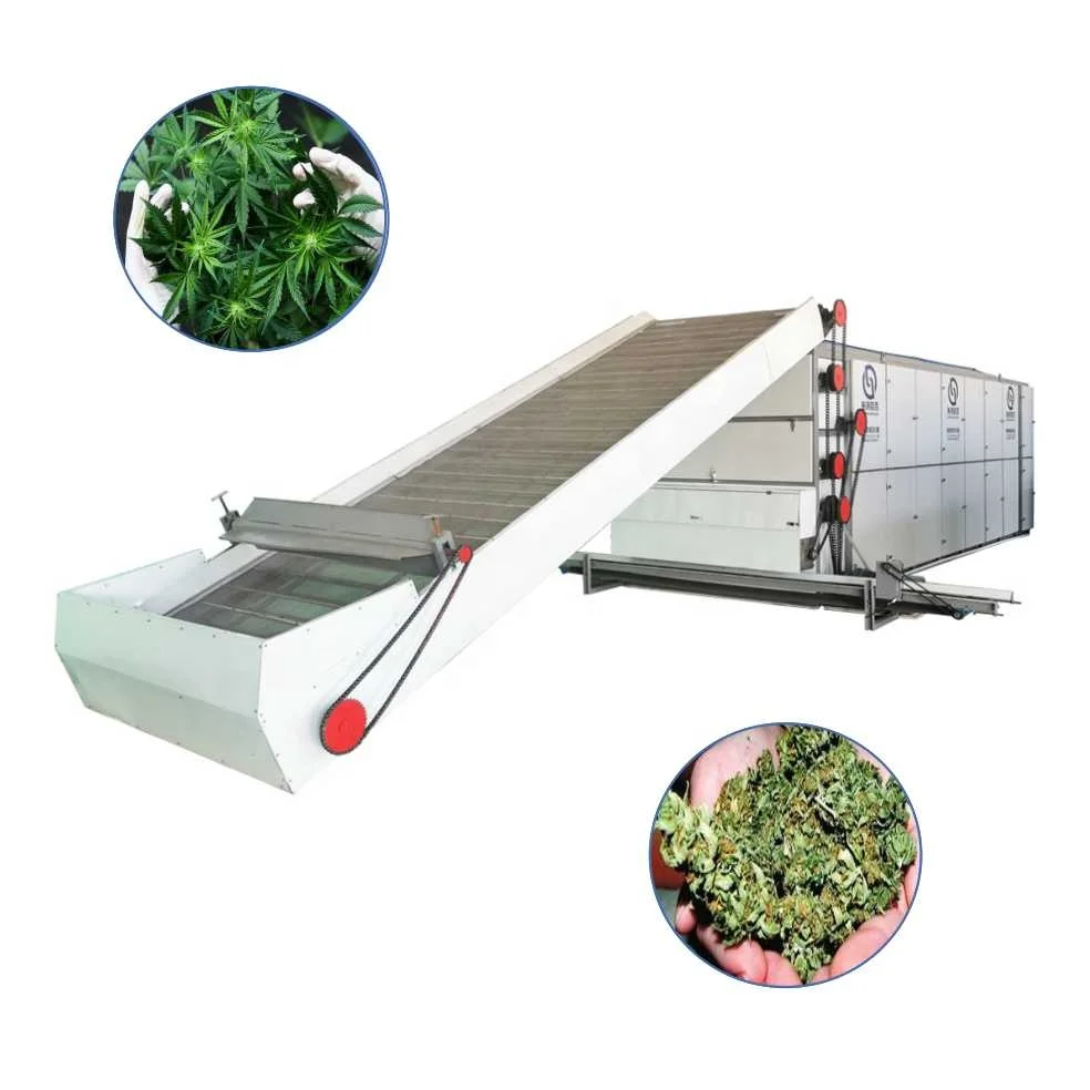 Vegetable Lettuce Dryer Gas / Electric Tea Leaf Alfalfa Seaweed Mint Drying Machine Drying Equipment