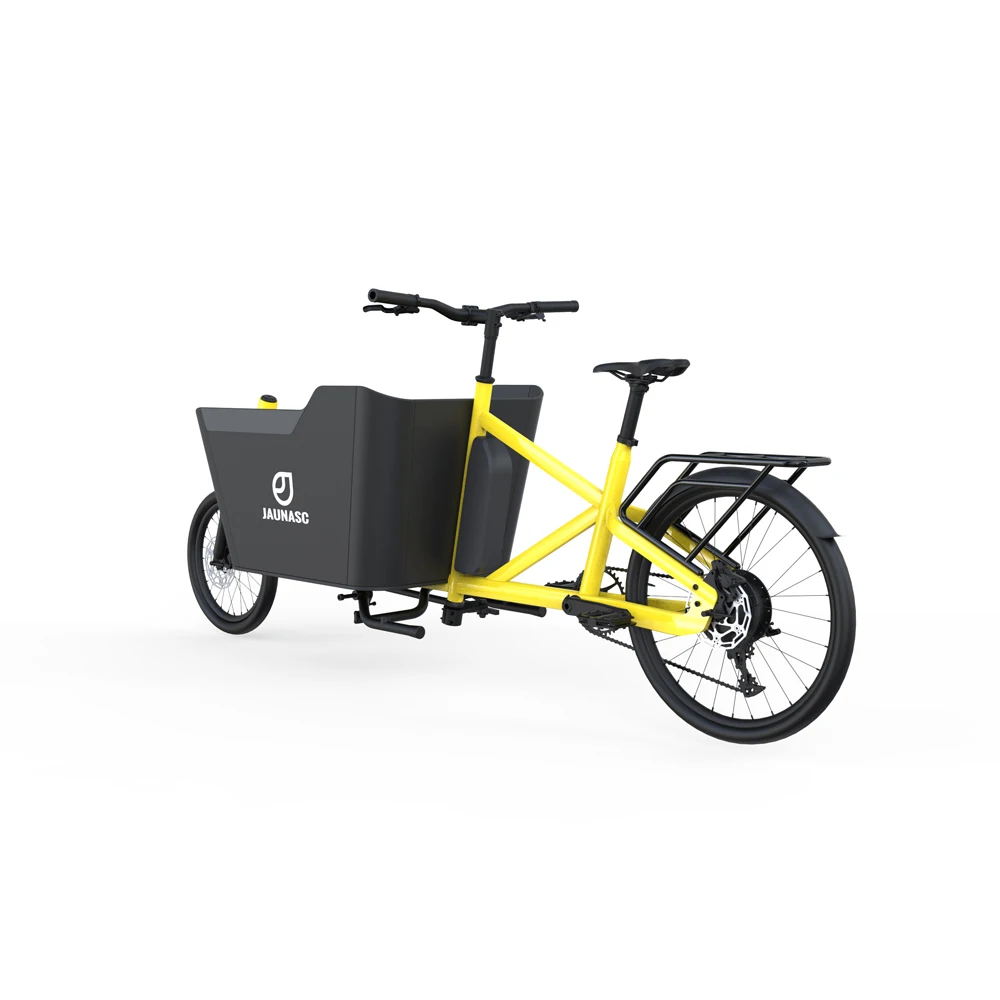 New design cargo ebike long range battery cargo e bike cargo bicycle electric bike e-cargo family e bicycle for delivery
