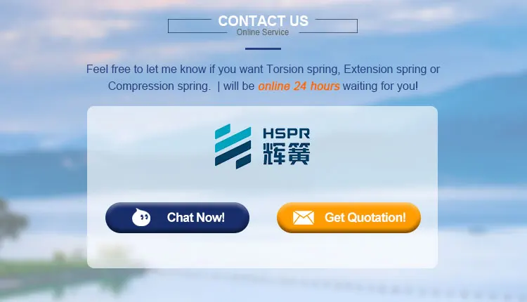 High Quality Long Duration Time Stainless Steel Extension Springs