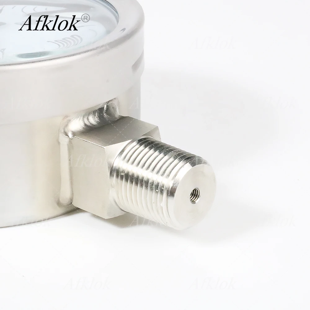 8/60/300/1000Kpa Oil Pressure Gauges Stainless Steel Case Pressure Gauges For Liquid or Gas Dial 100mm