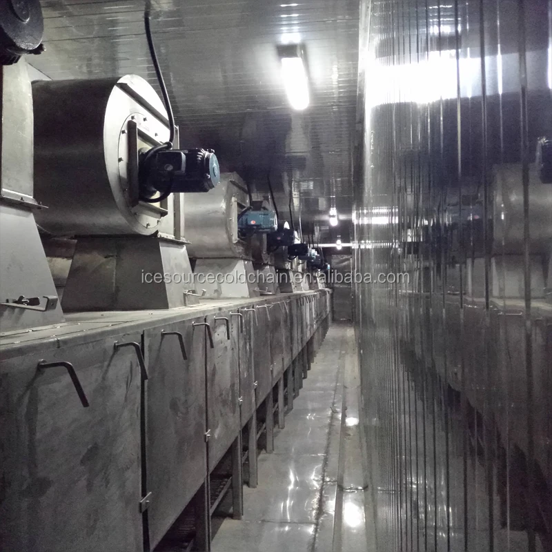 
1000kg/h Customized IQF Tunnel Freezer/Industrial IQF Blast Freezer for Fish/Shrimp/Seafood with CE/BV 