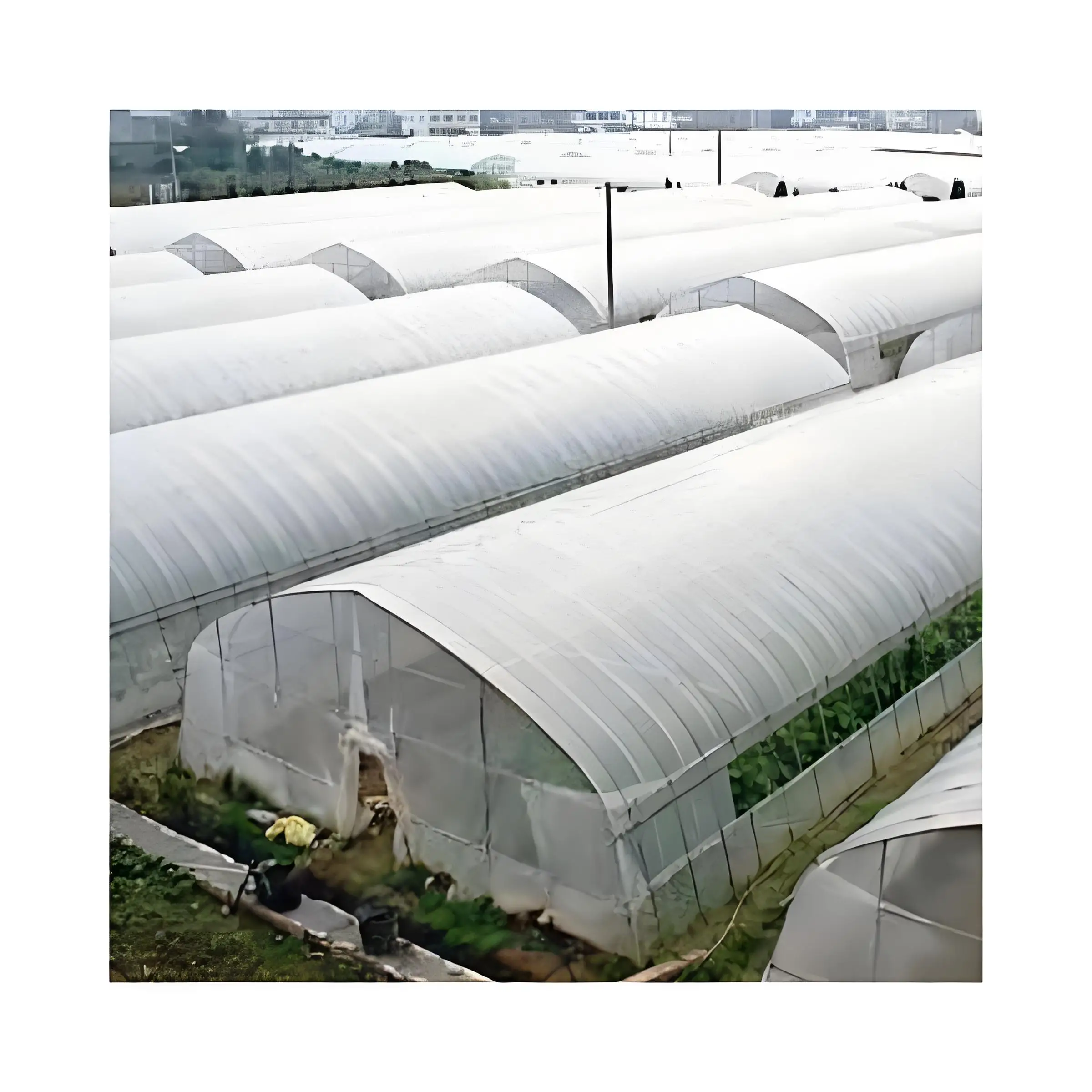 Garden pvc greenhouse Green house Heat preservation and rain protection  Thailand Grain Vegetables Fruit