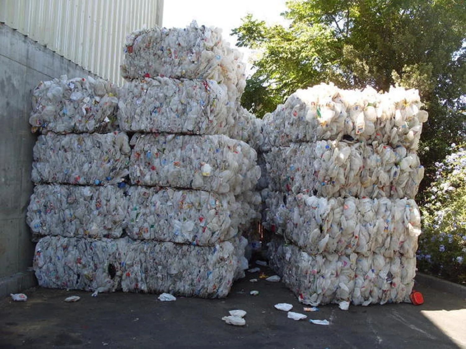 HDPE Milk Bottles Scrap/HDPE Plastic Scrap/HDPE Milk Bottle Regrind