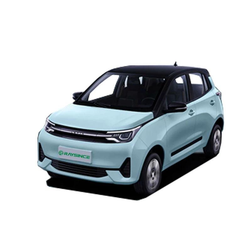 New Energy Electric good quality China electric car adult vehicle