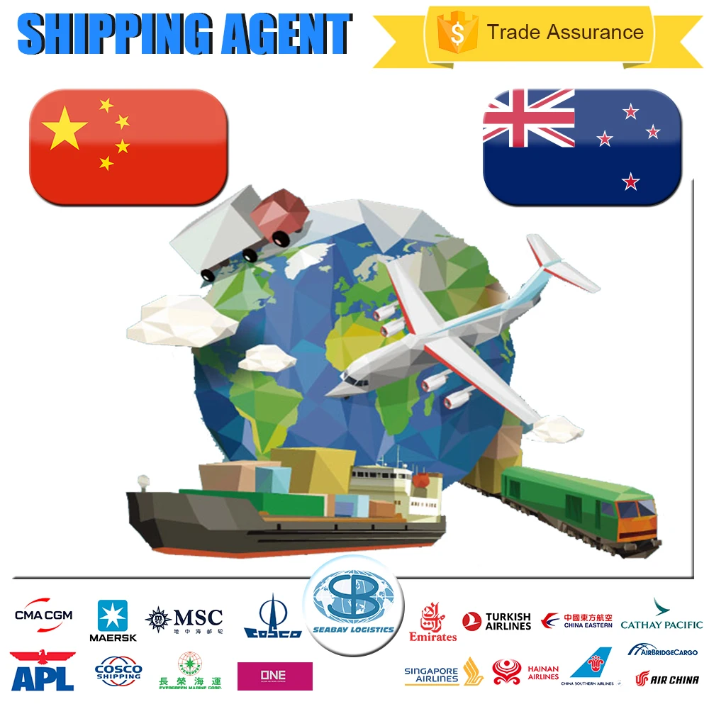 professional china sea freight forwarder supplier shipping to New Zealand Auckland Wellington Christchurch