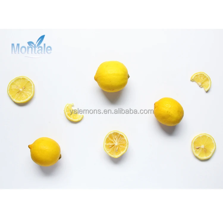 Best sale Fresh Fruits Company Montale Air Fresh Fruit Yellow Lemon In 15KG Carton