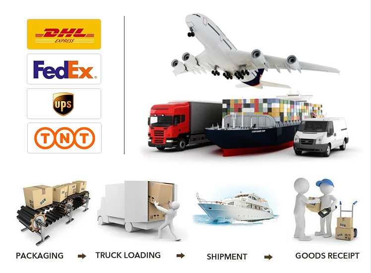 Best quality larvae black soldier fly larvae for fish bird snack food