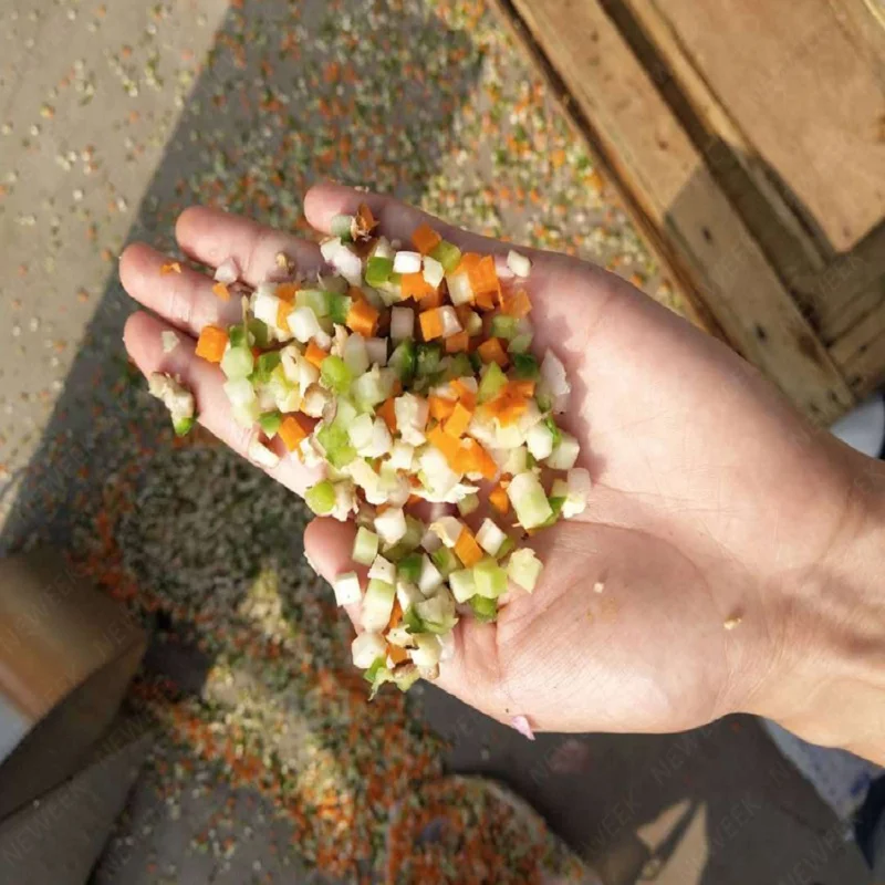NEWEEK Electric stainless steel vegetable and fruit dicing machine