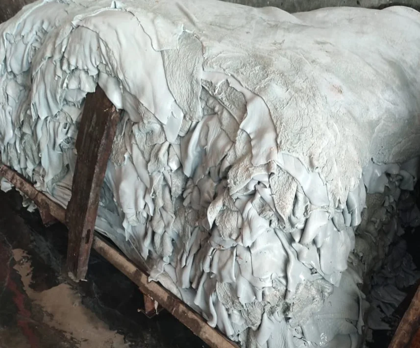 Wet Salted Cowhides/Skins For Wholesale - 100% Genuine Leather