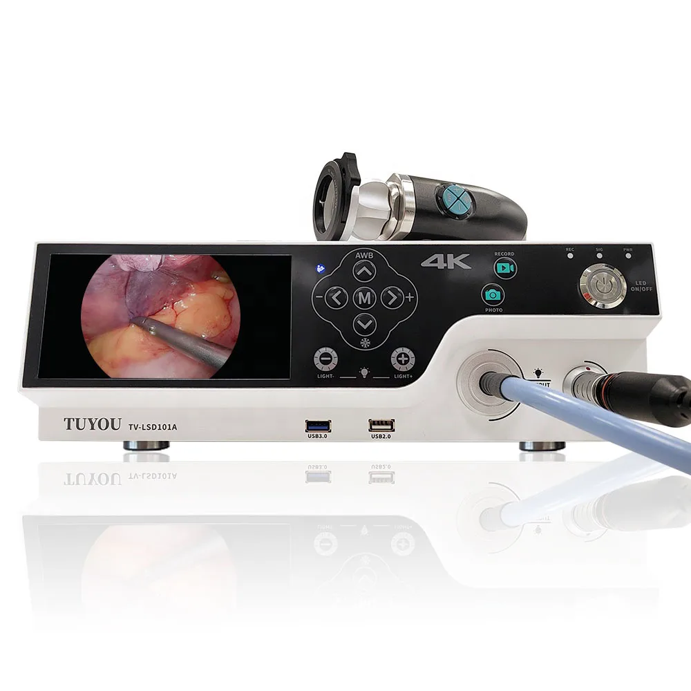 Wholesale Price ENT Endoscope ENT Medical Endoscope Camera for Ear Nose Throat with USB