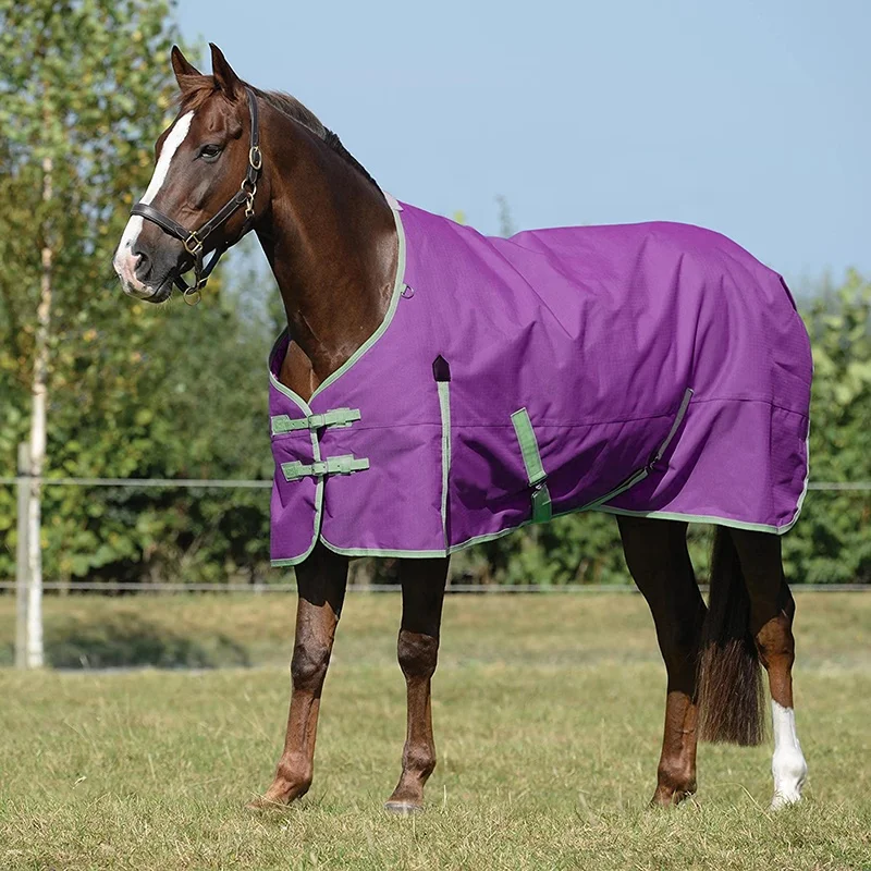 Customize Equestrian Supplier High Quality Horse Rugs Winter Waterproof Essential Standard Neck Blanket for Horses
