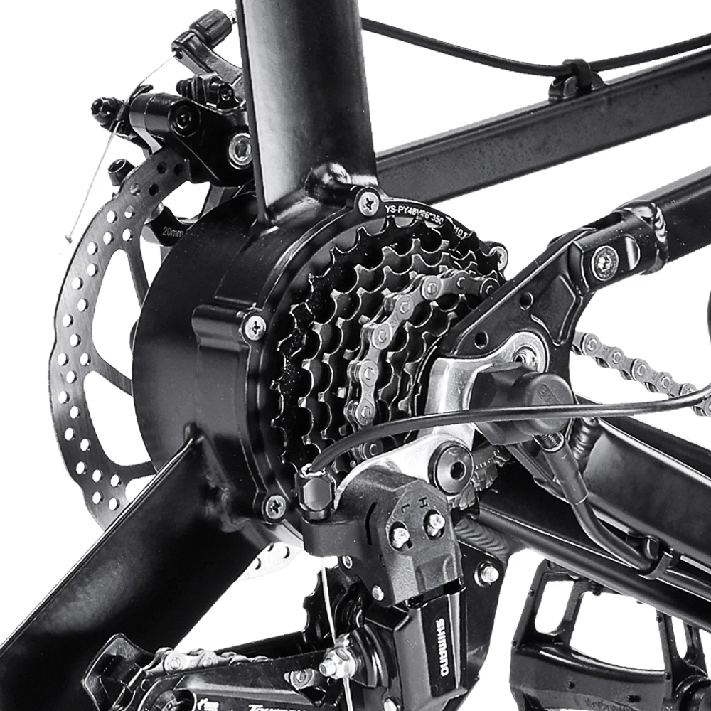 
F-2500E 250W 48V Snow Beach Removable Lithium Battery Dual Disc Brakes Folding Electric Bikes for Adults 