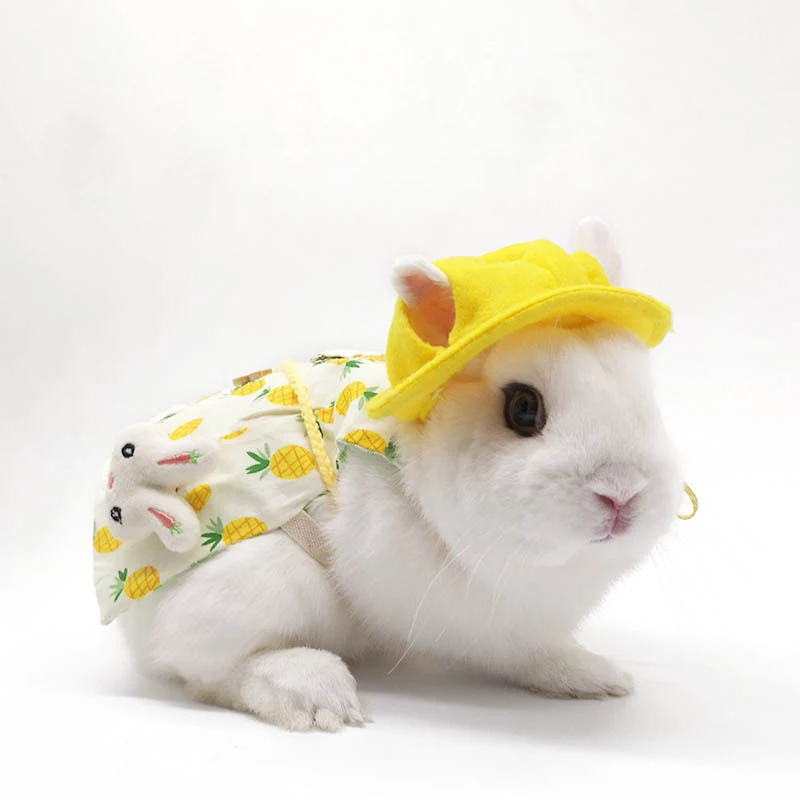 Amazon Hot Sale Pet Bunny Clothes Small Animal Rabbit Cat Costume Accessories
