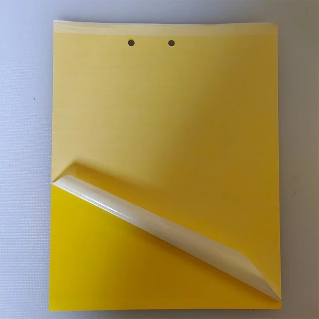 Fruit Fly Trap, Yellow Sticky Gnat Traps Killer for Indoor/Outdoor Flying Plant Insect glue trap